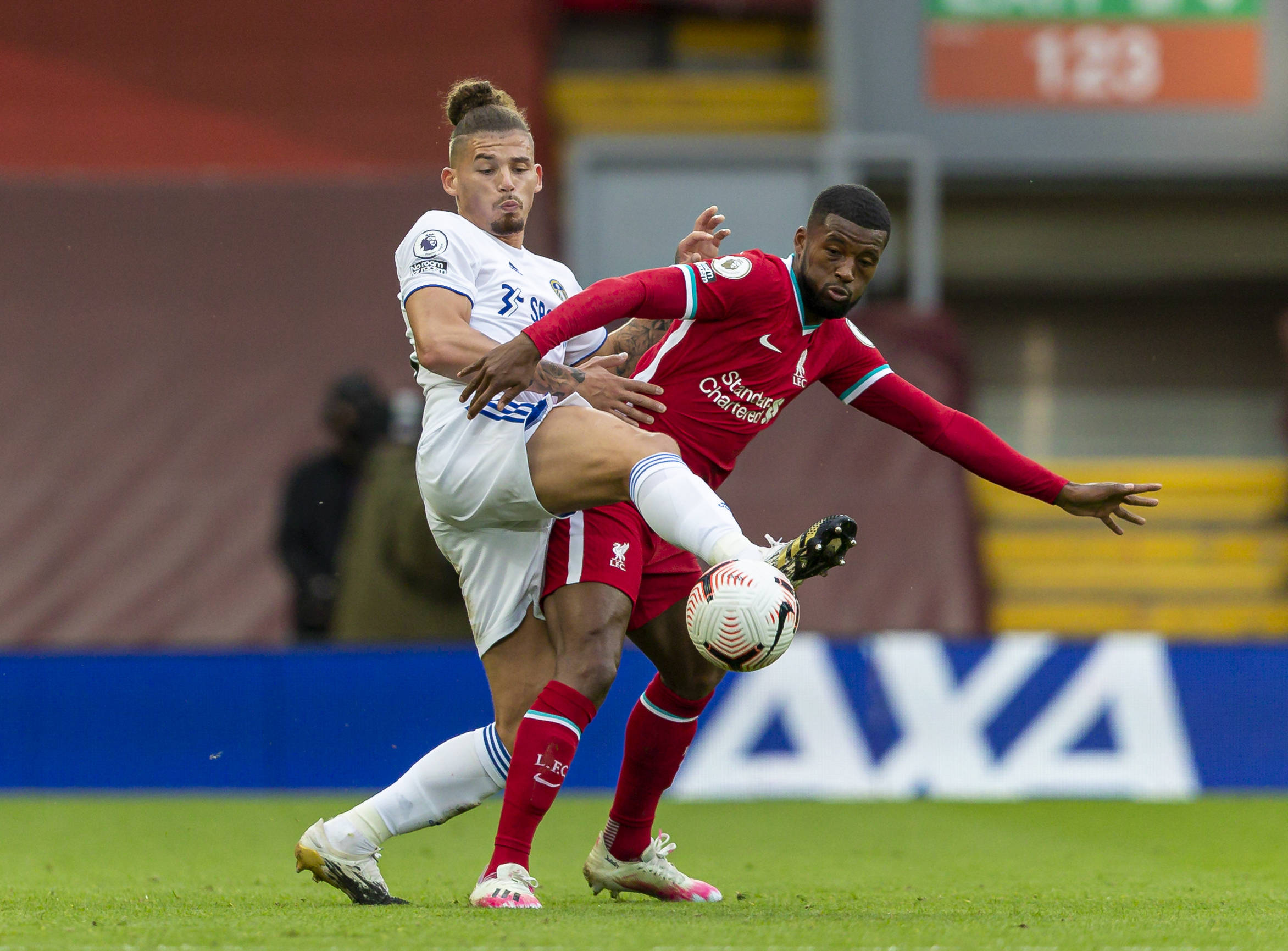 尽管选秀初 尽管选秀初